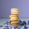 Tarragon Honey Mustard - Image 6